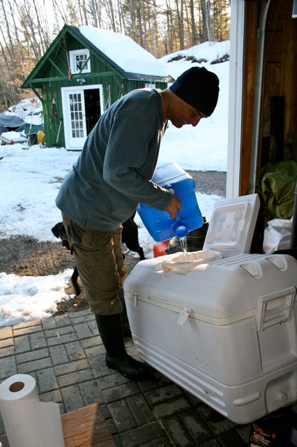 Dwight filling the cooler with sap