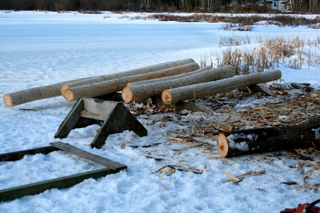 first logs