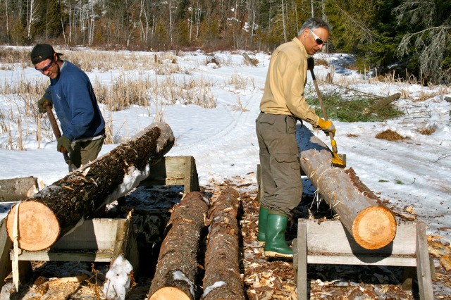 peeling logs